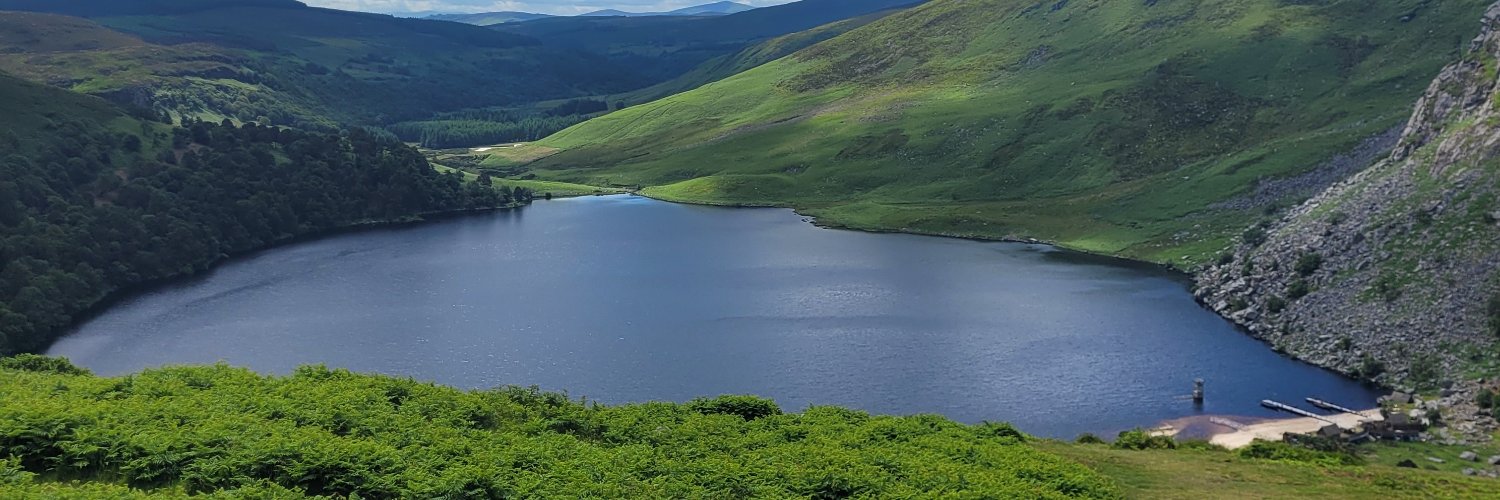 sionagh's profile banner image