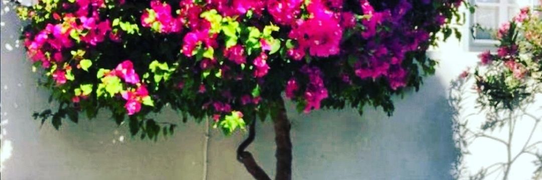 attmoor's profile banner image