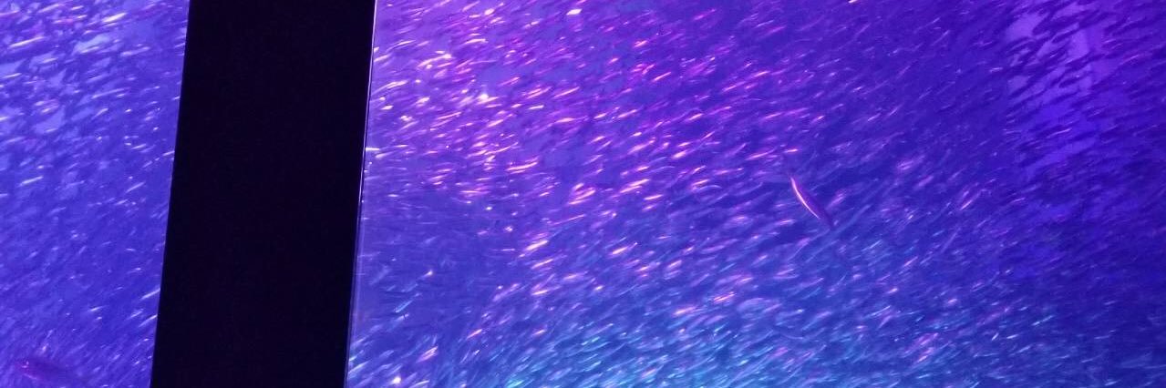 H_002m's profile banner image