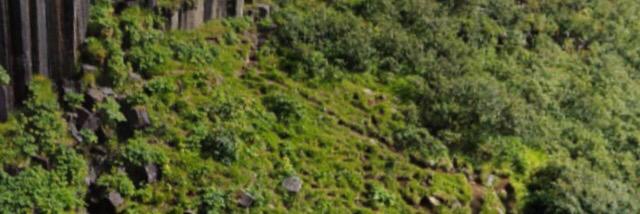 MAlghamdil's profile banner image