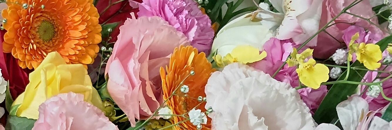 aya_155's profile banner image