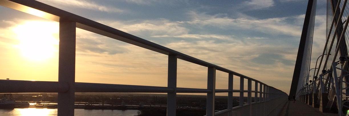LightenUpCharleston banner