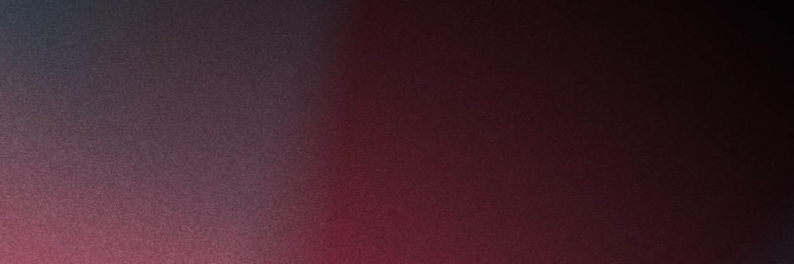 AN¡S banner