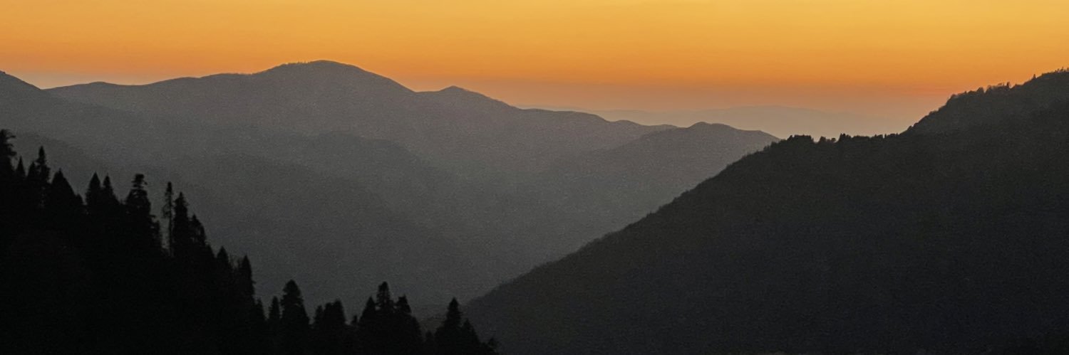 AlarkoCarrier1's profile banner image