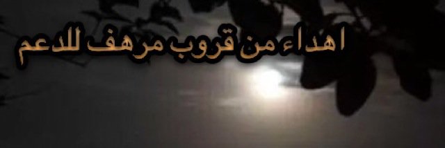 ya____sar1's profile banner image