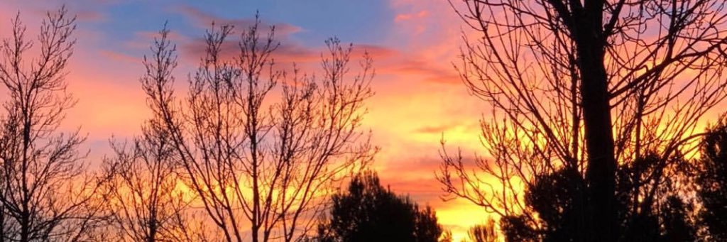 Beatriz Toledano banner