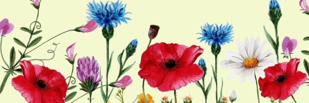 MariaFlude's profile banner image