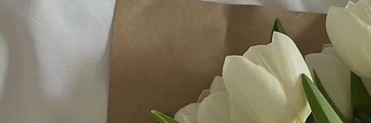 dindingalvan's profile banner image