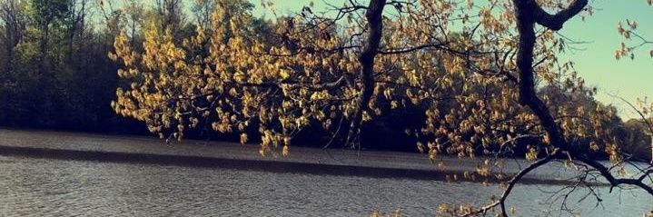 SladeFerguson's profile banner image
