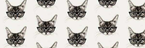 loetoya Profile Banner