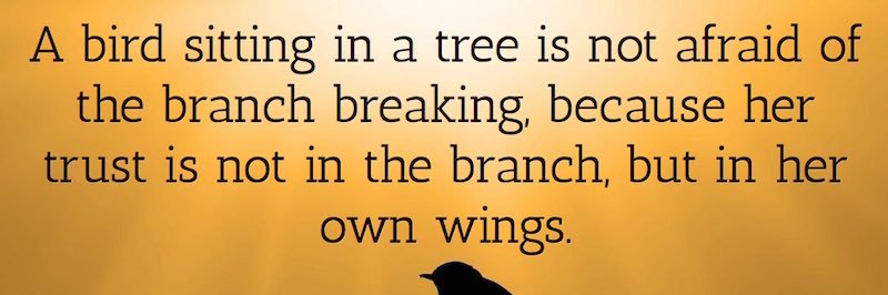 suzanne dunne banner