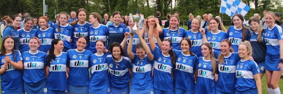 AislingGaffney's profile banner image