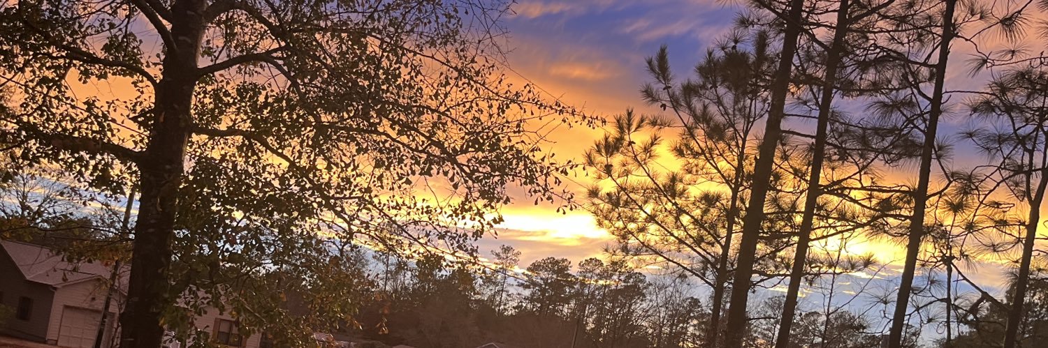 Teresa Whitacre banner