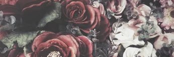 asvpmateo's profile banner image