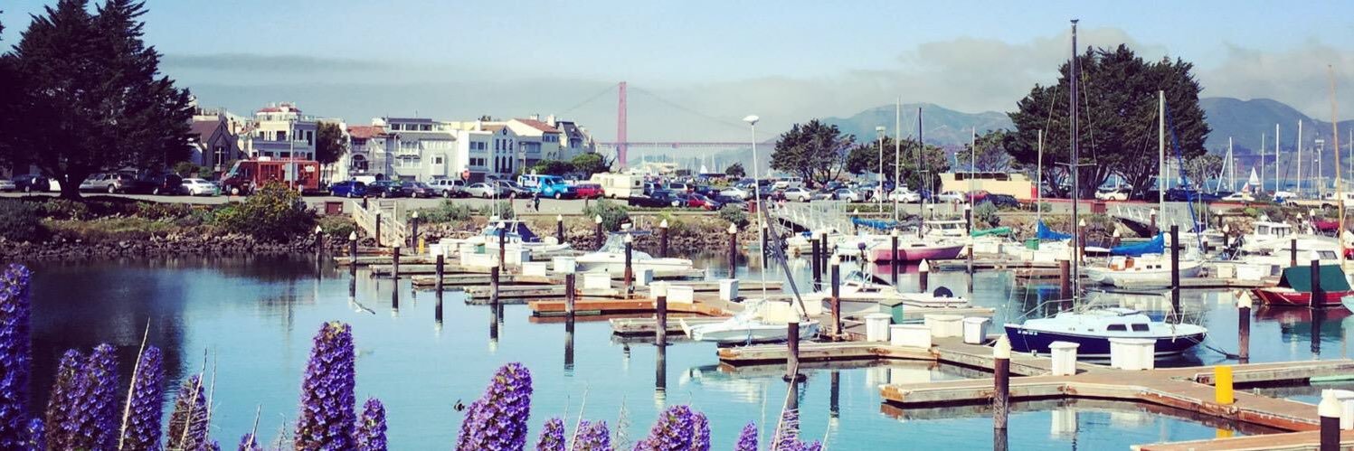 Corina Standiford banner