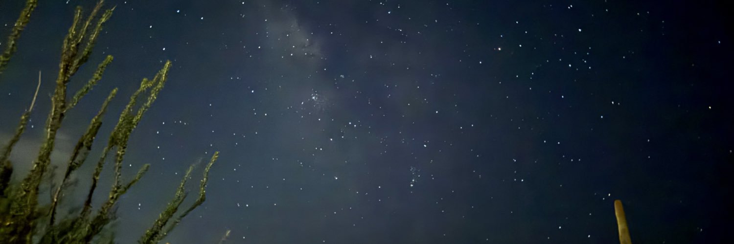 Brad Winchester banner