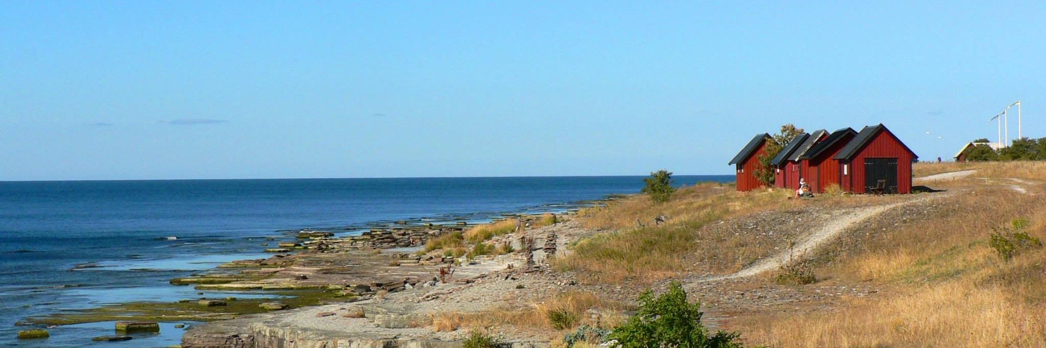 edward knol banner