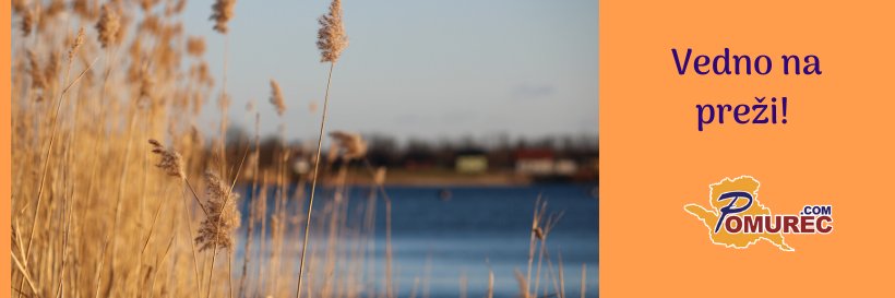 Pomurec's profile banner image