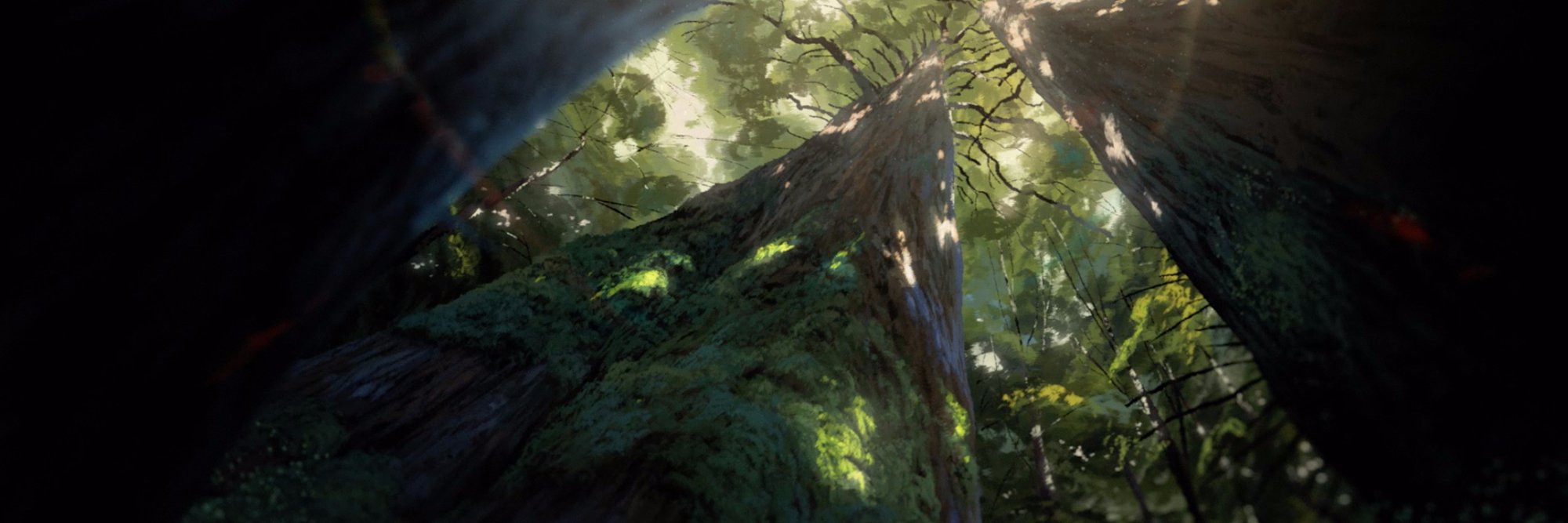 patchoforange's profile banner image