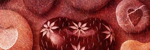 AnneBlake0513's profile banner image