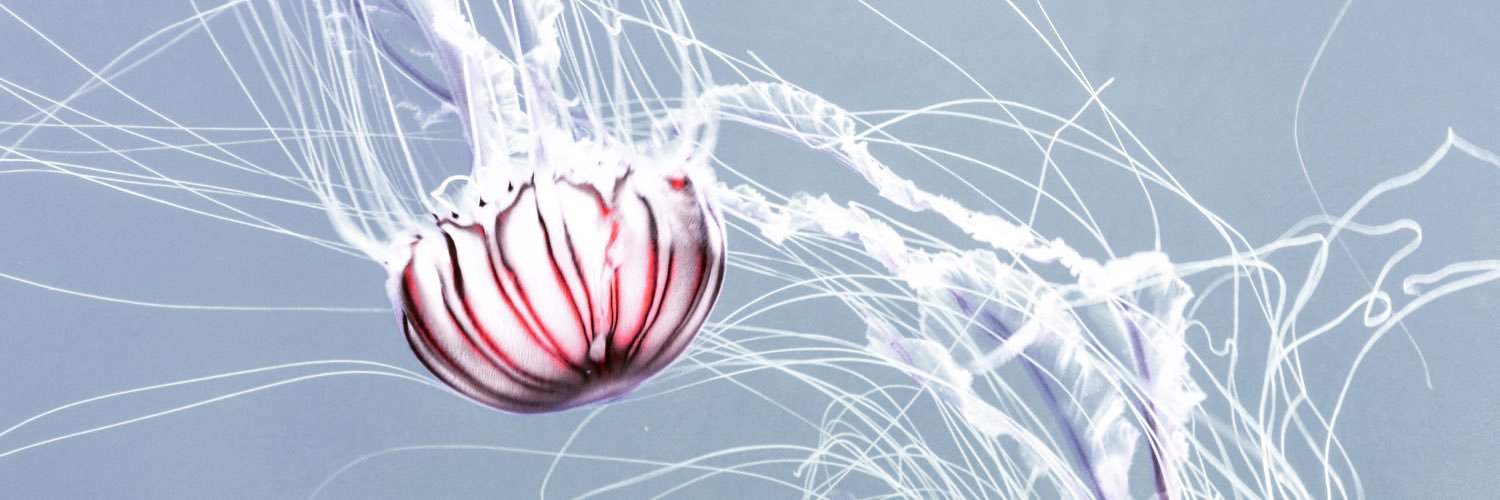 Kobacchi4696's profile banner image