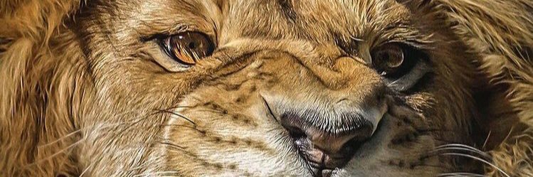 itzmefaithful's profile banner image
