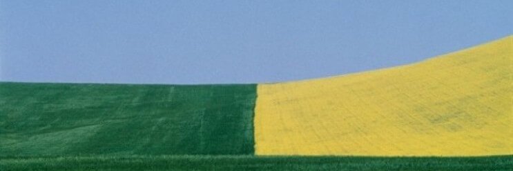 MagnusMejrup's profile banner image