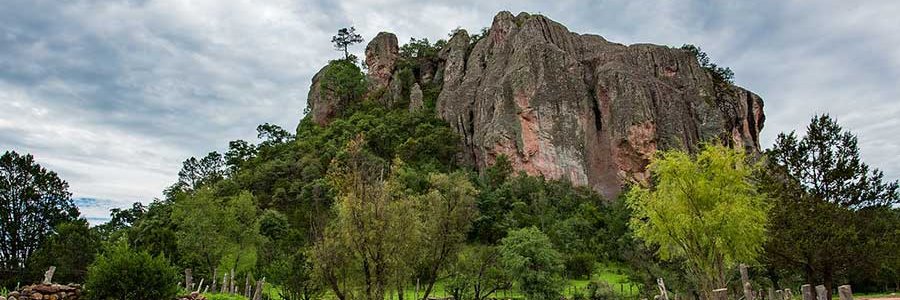 Samuel Valenzuela banner