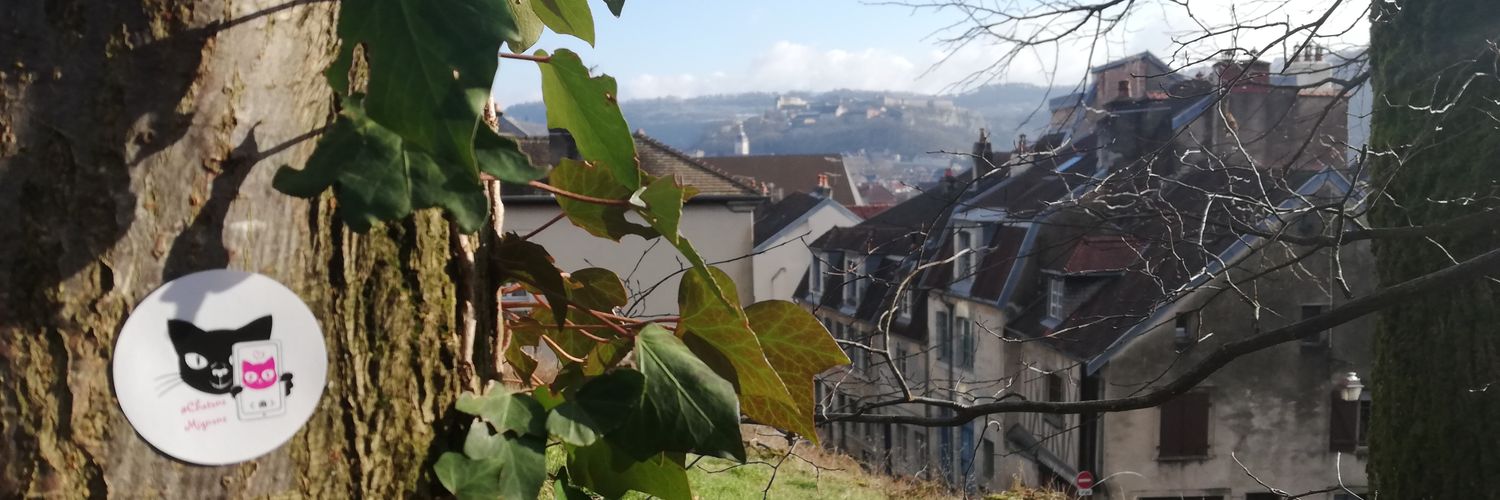 Justine SIMON banner