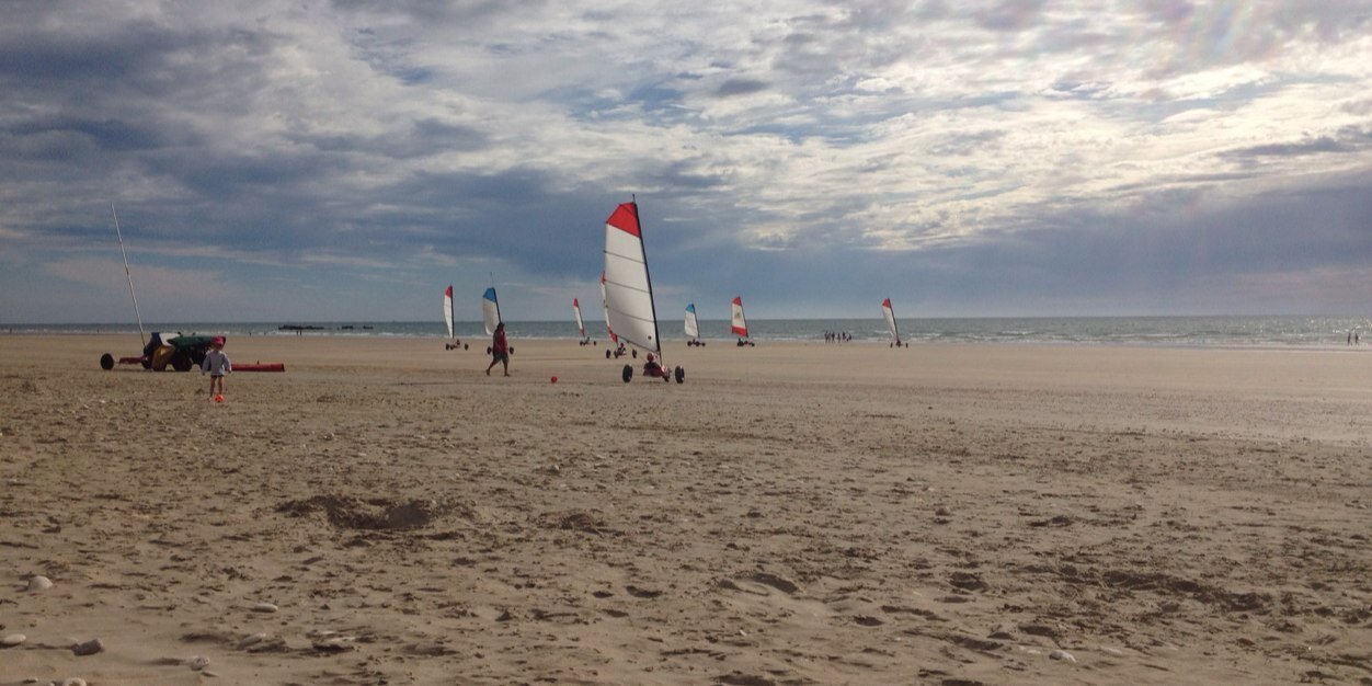 Sylvie Bocognano banner