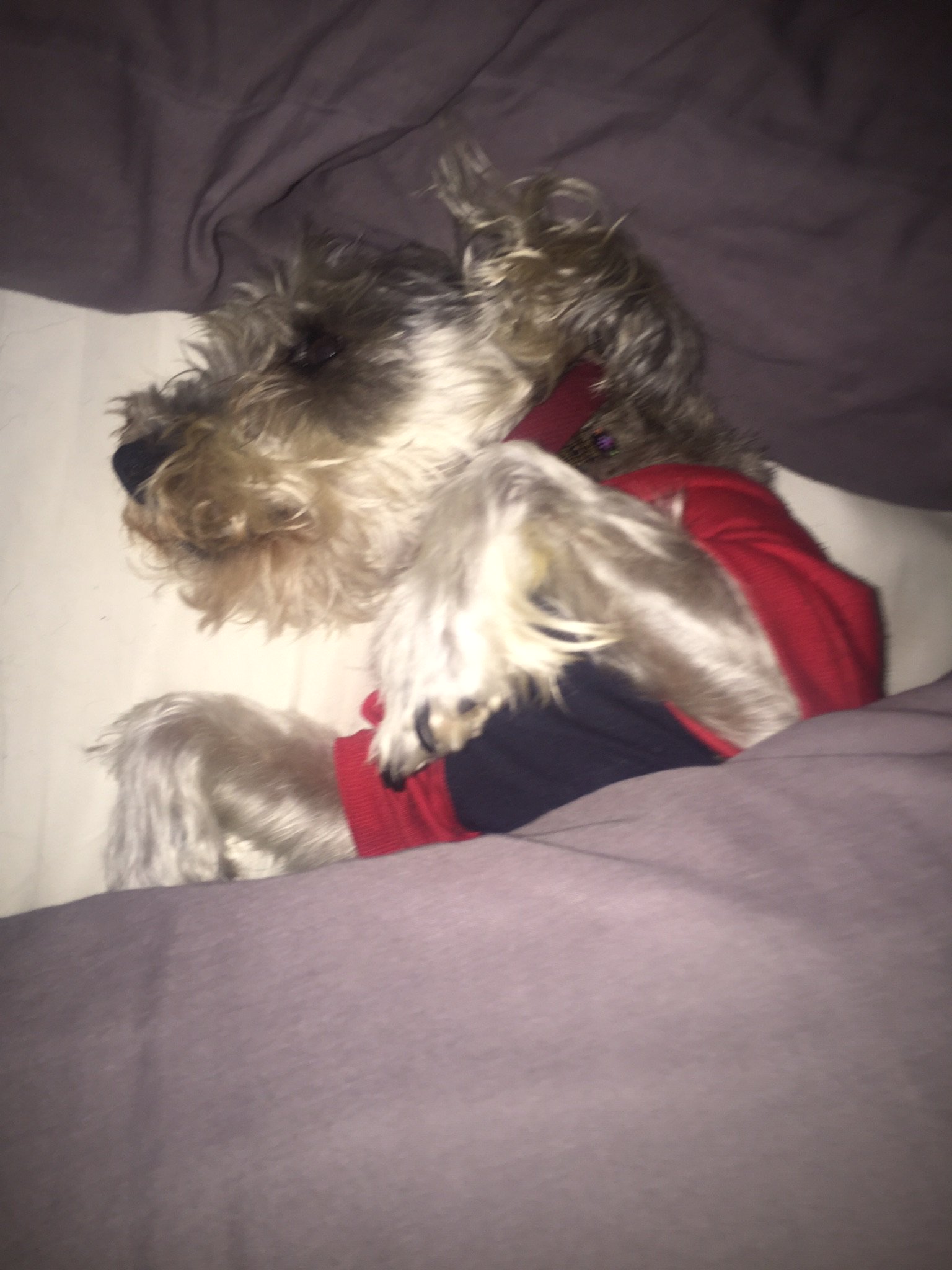 Neurotic Quixotic—One Love and Four Lights banner