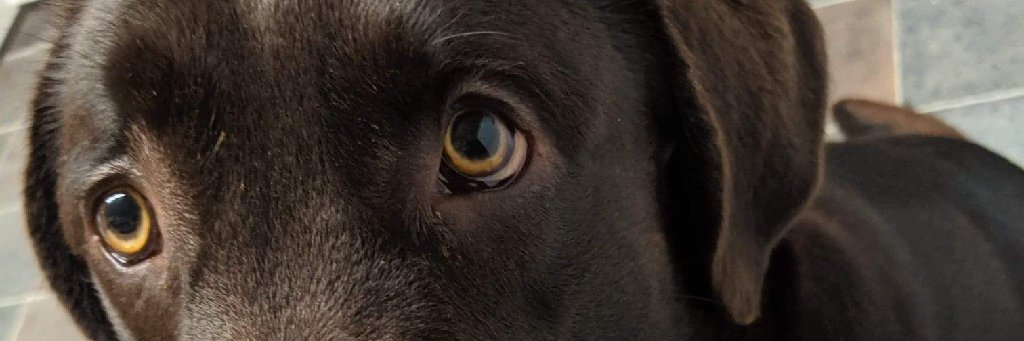 DPretki's profile banner image