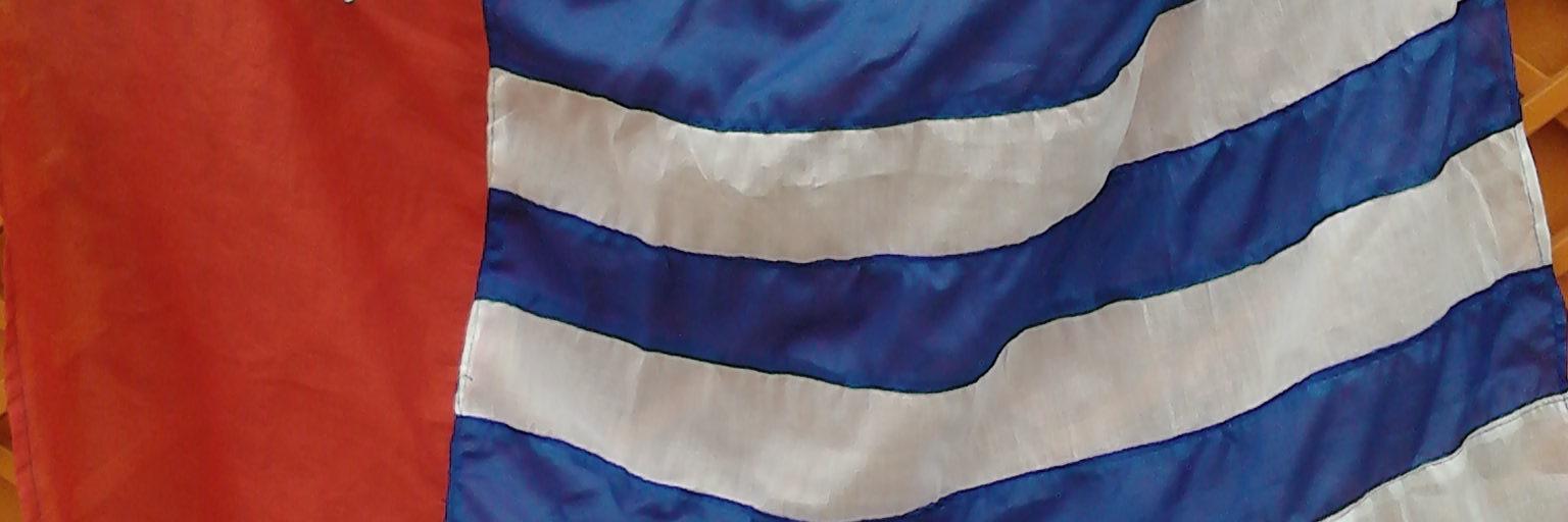 SBFI's profile banner image