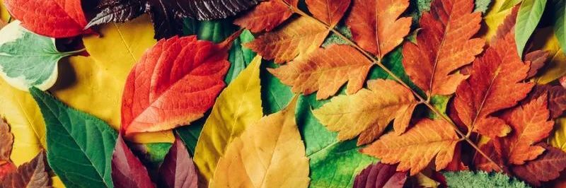 S__offi's profile banner image