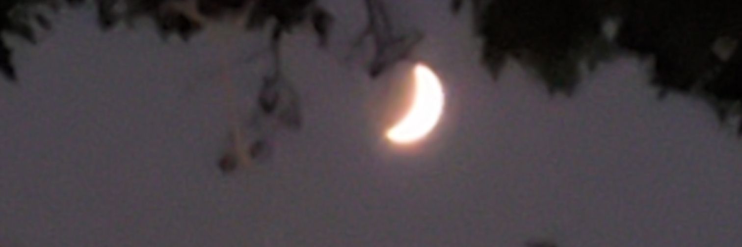 Toporanger's profile banner image