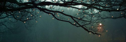 KimNichols89's profile banner image