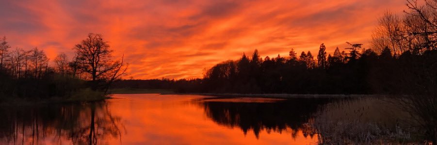 FionnFerguson's profile banner image