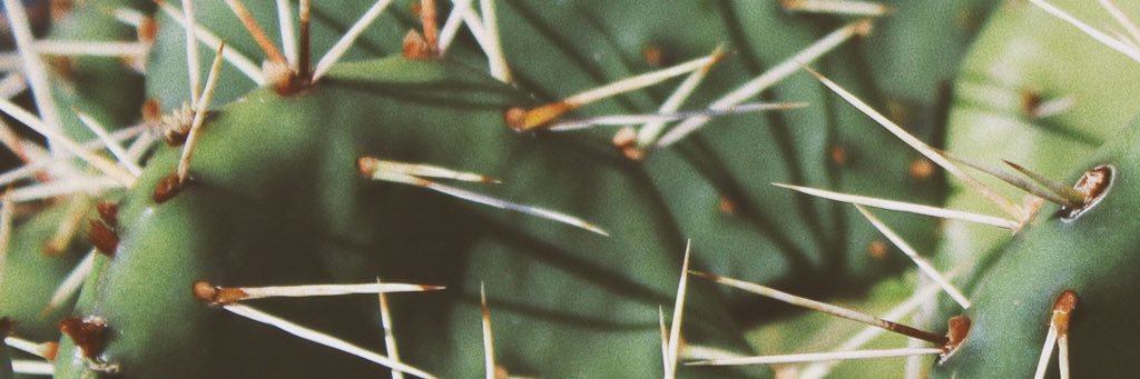 TheMattyStewart's profile banner image