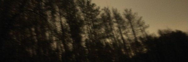 cory_mccallum Profile Banner