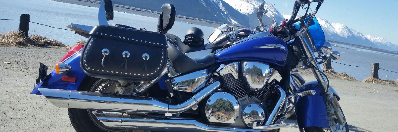 Vichy Trump du Putin banner