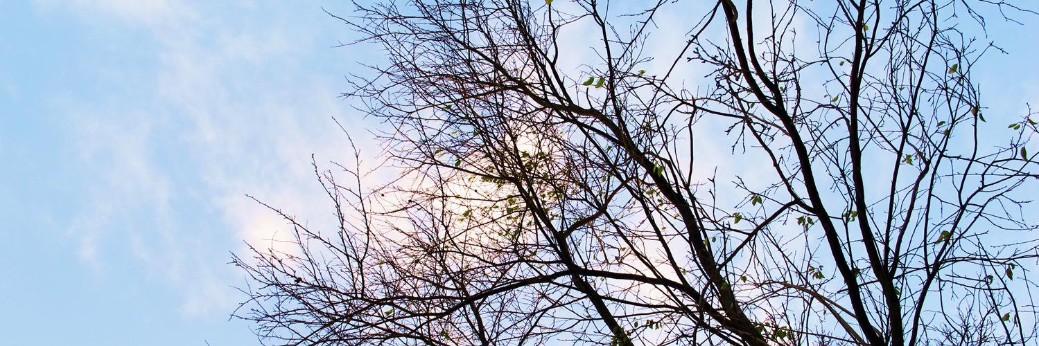 nike_goingweird's profile banner image