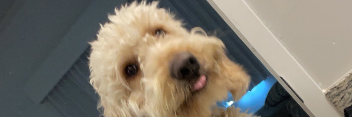 Brayhunter10's profile banner image