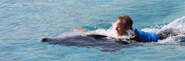 MikkoIlonen Profile Banner