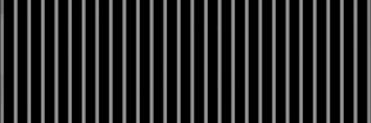 dog_master2's profile banner image