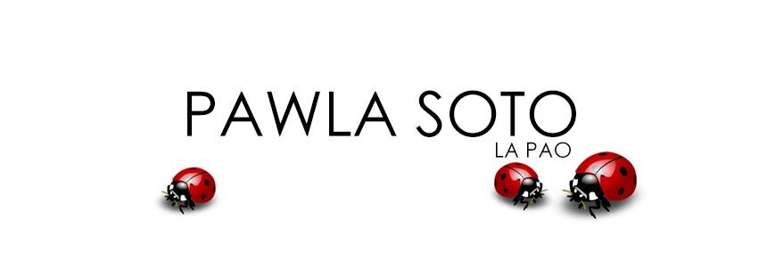 pawlasoto's profile banner image