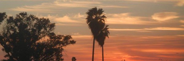 jebusmr Profile Banner