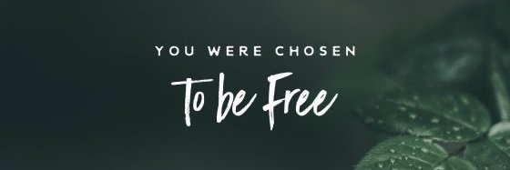 AfreecaReact's profile banner image