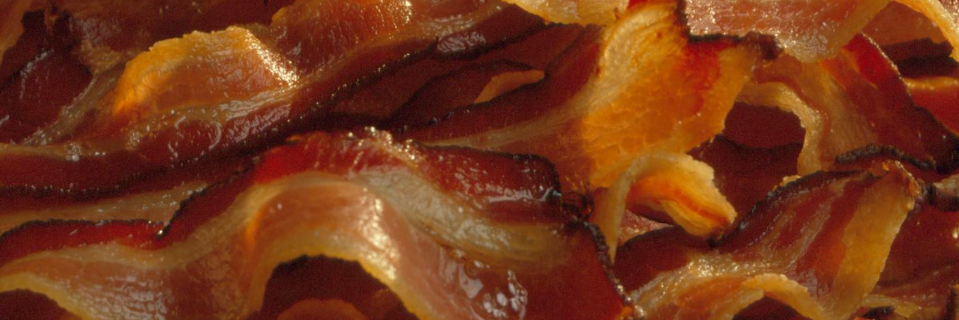 lordsofbacon's profile banner image