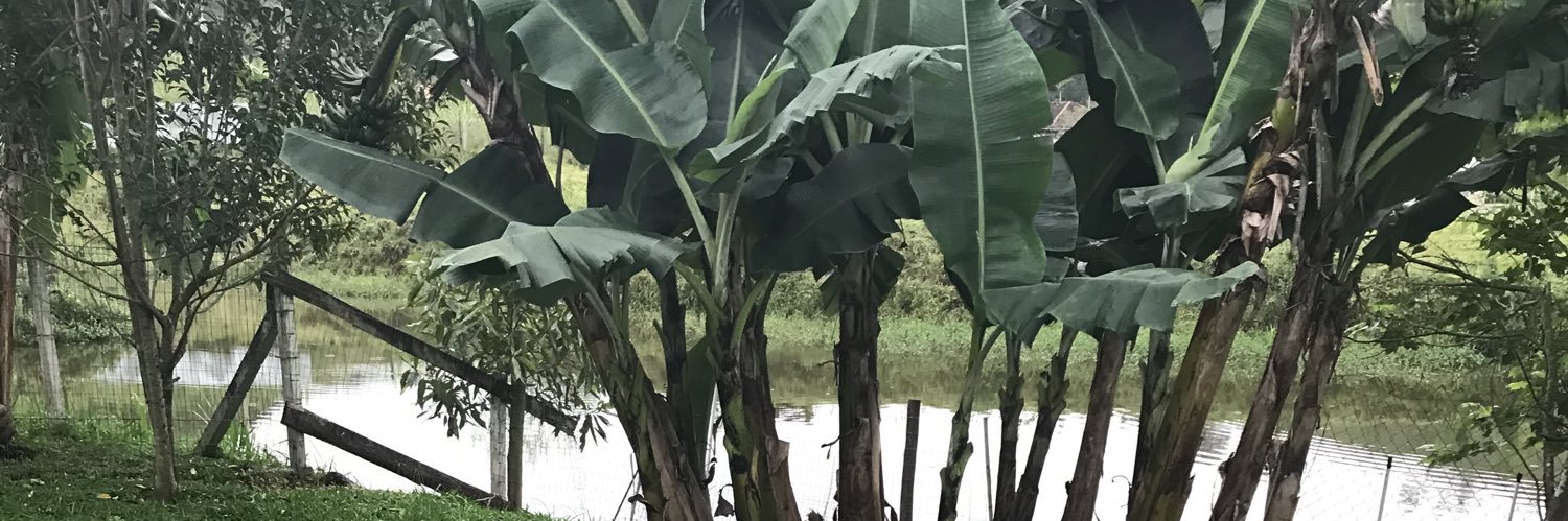 Luisa B. ☀️ banner