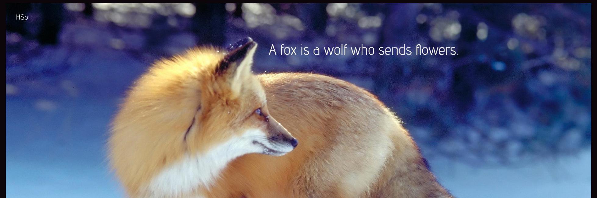 wanderingfoxie's profile banner image